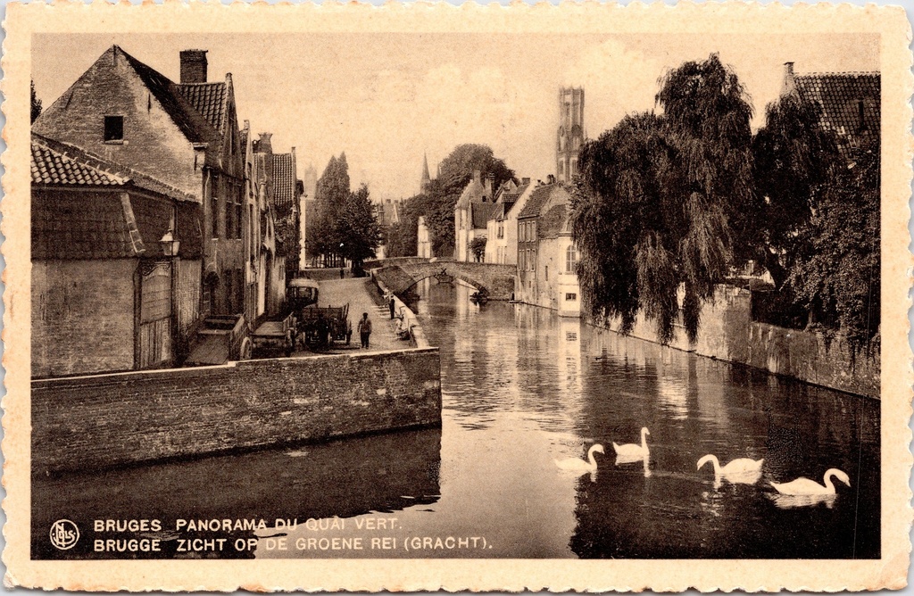 Bruges - « PANORAMA DU QUAI VERT » - Vue sur le Groene Rei avec des cygnes et le Beffroi