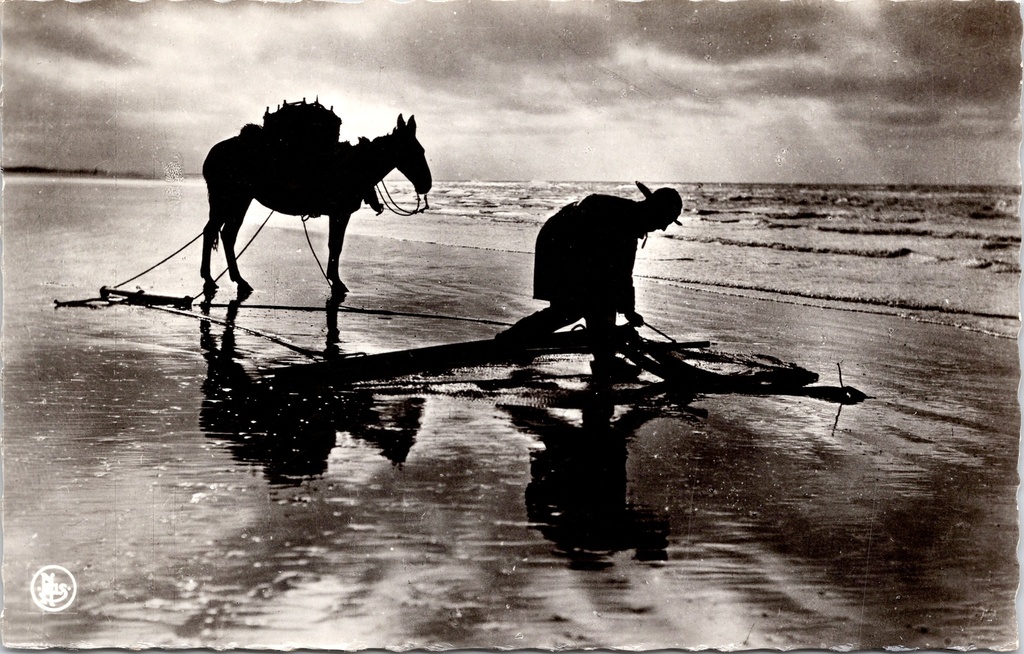 Kust - "Pêcheur de Crevettes" - Garnalenvisser te paard op het strand