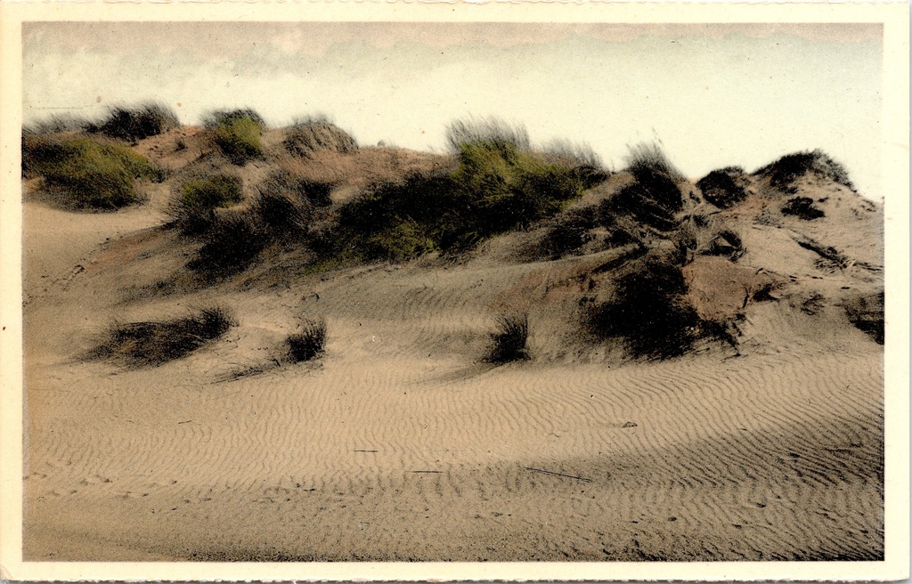 Koksijde – “Les dunes ridées par le vent” – Wind-swept dunes in Oostduinkerke-Bad