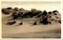 Koksijde – “Les dunes ridées par le vent” – Wind-swept dunes in Oostduinkerke-Bad