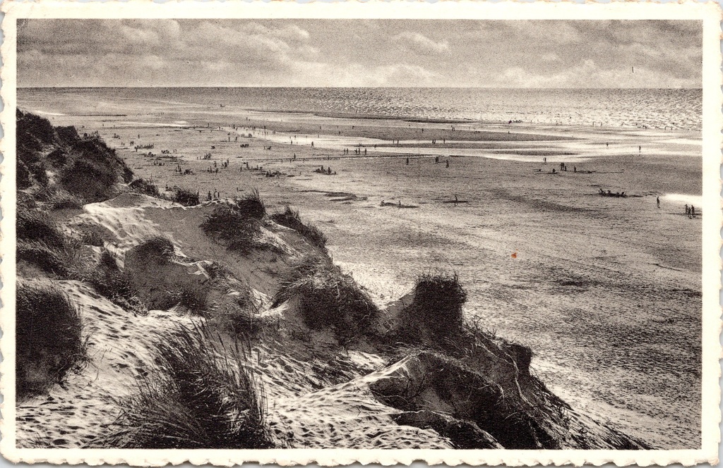 Bredene - « Les jeux de la mer et du sable » - Dunes et plage en bord de mer